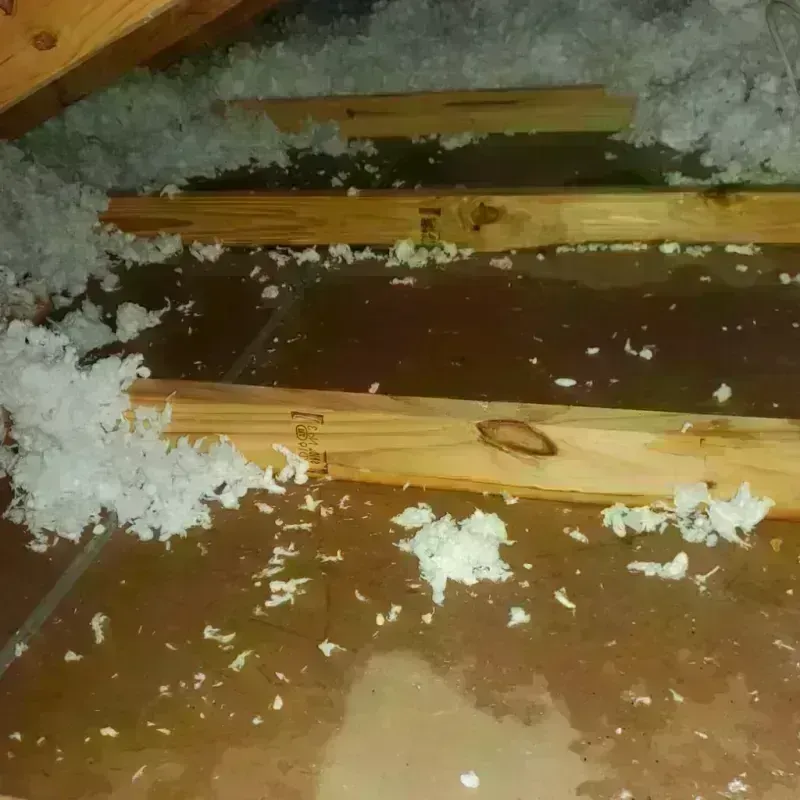 Attic Water Damage in Mocksville, NC